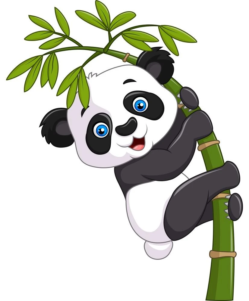 Interjero lipdukas Panda ant bambuko 60x80cm