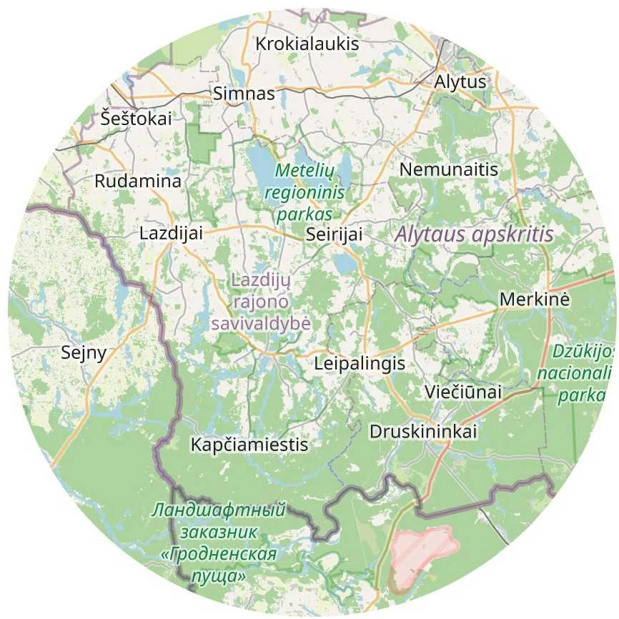 Kamštinis paveikslas - Detalusis Lietuvos žemėlapis