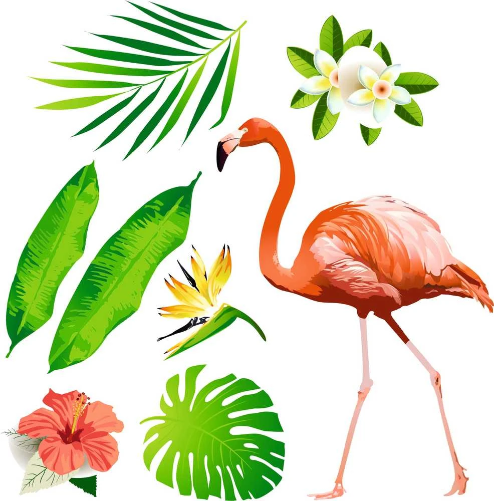 Lipdukas vaikams Flamingas