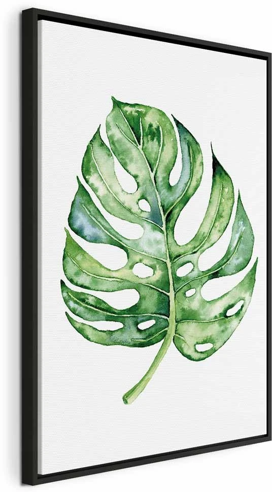 Paveikslas Akvarelinė monstera