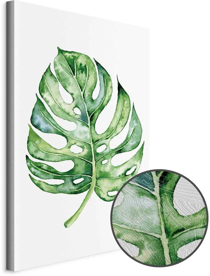 Paveikslas Akvarelinė monstera