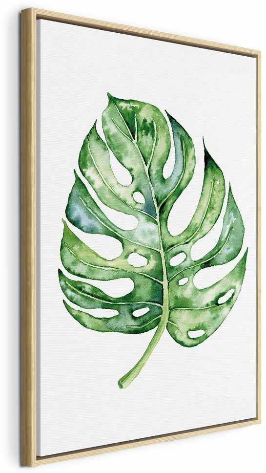Paveikslas Akvarelinė monstera