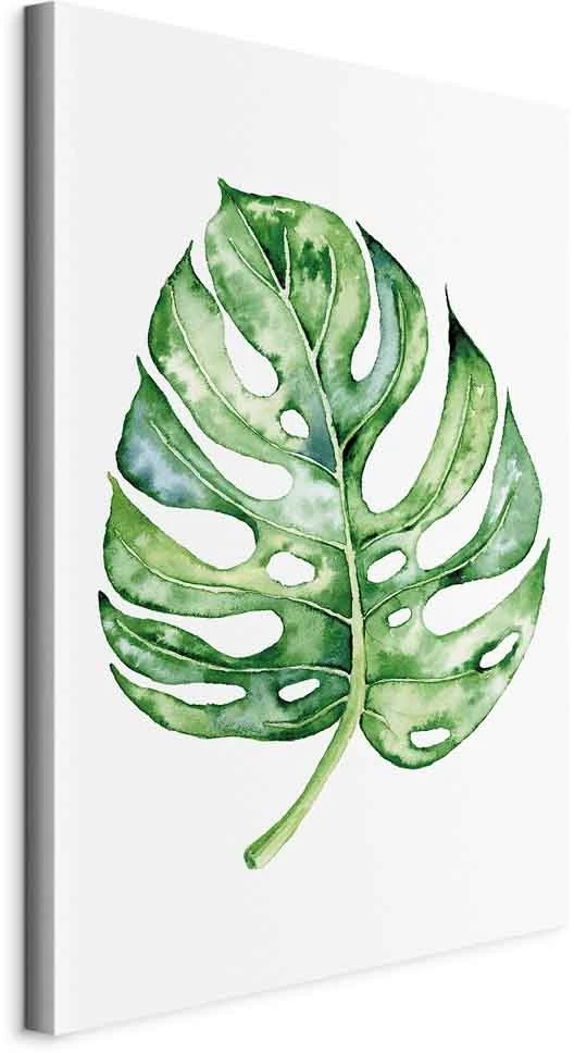 Paveikslas Akvarelinė monstera
