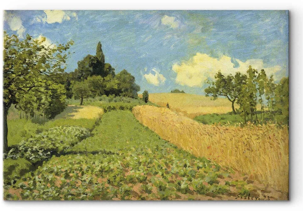 Paveikslas Alfred Sisley - Javų laukai Argenteuil kalvose