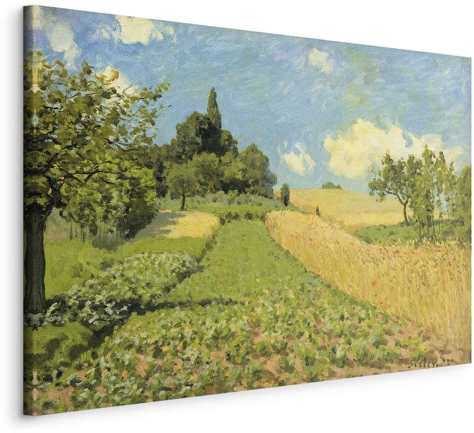Paveikslas Alfred Sisley - Javų laukai Argenteuil kalvose