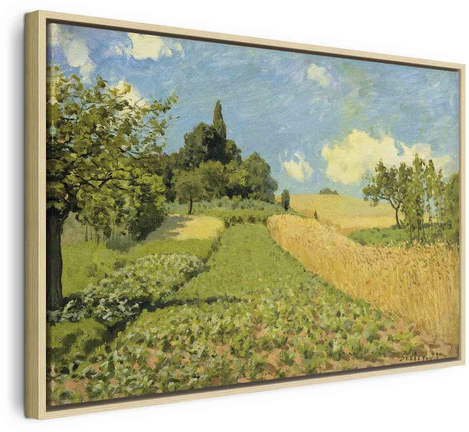 Paveikslas Alfred Sisley - Javų laukai Argenteuil kalvose