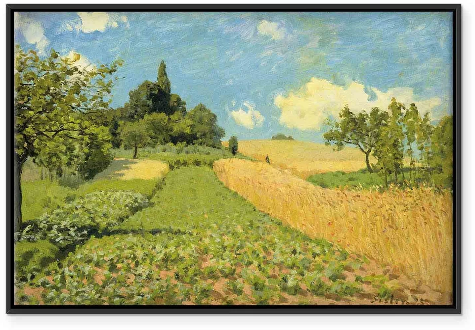 Paveikslas Alfred Sisley - Javų laukai Argenteuil kalvose