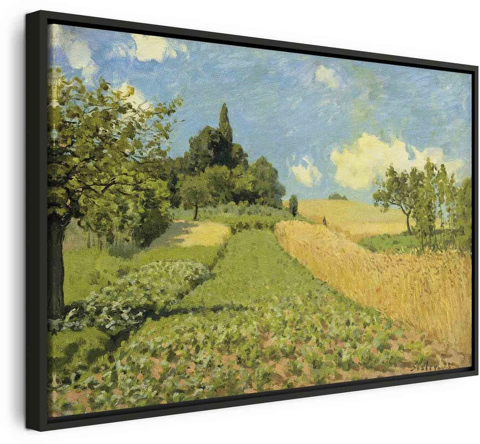 Paveikslas Alfred Sisley - Javų laukai Argenteuil kalvose