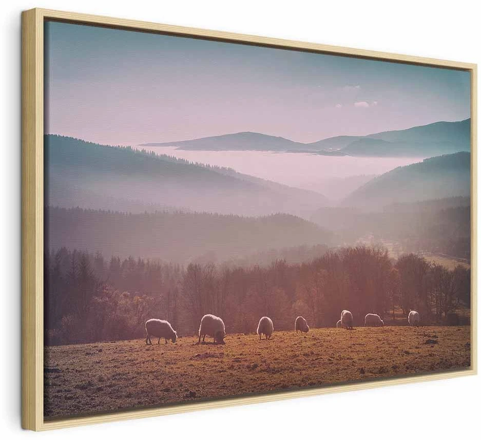 Paveikslas Avys kalnų peizaže
