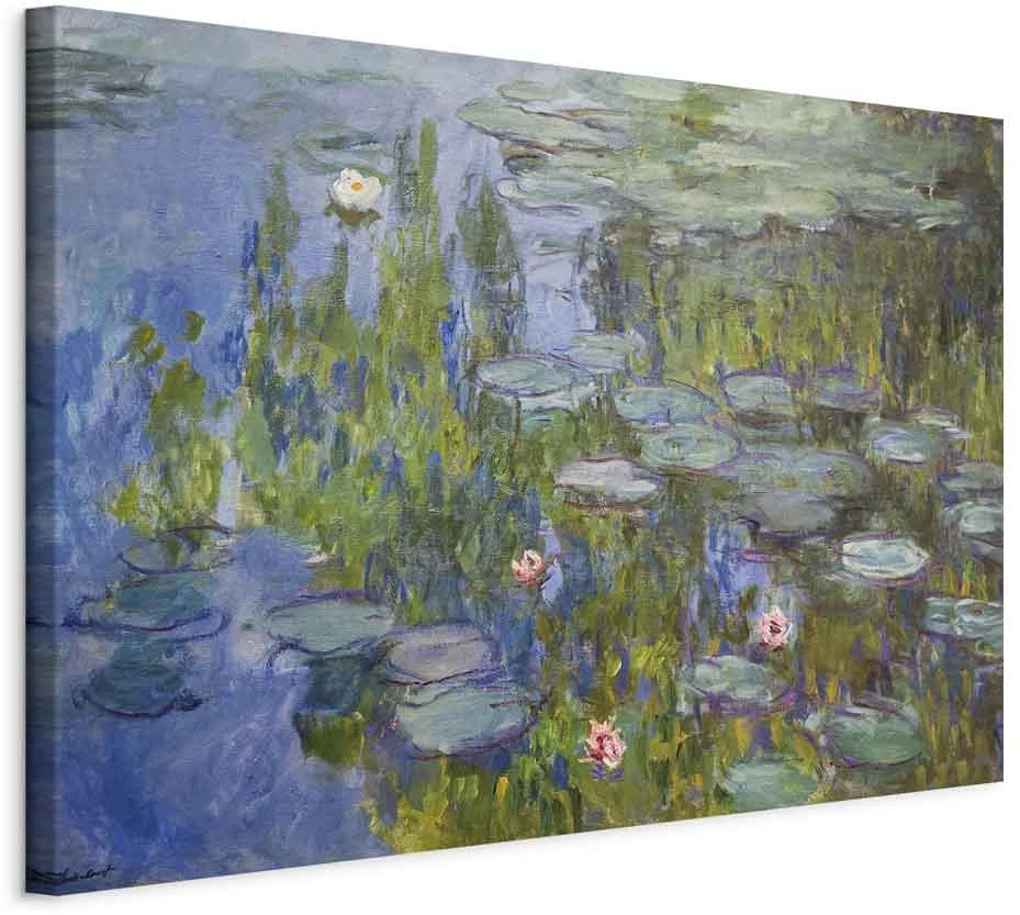 Paveikslas Claude Monet - Vandens lelijos