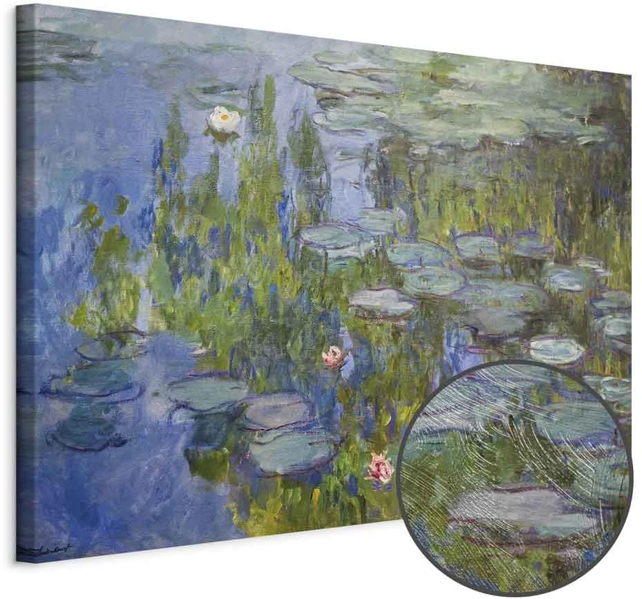Paveikslas Claude Monet - Vandens lelijos