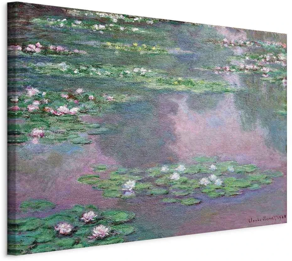 Paveikslas Claude Monet - Vandens lelijos
