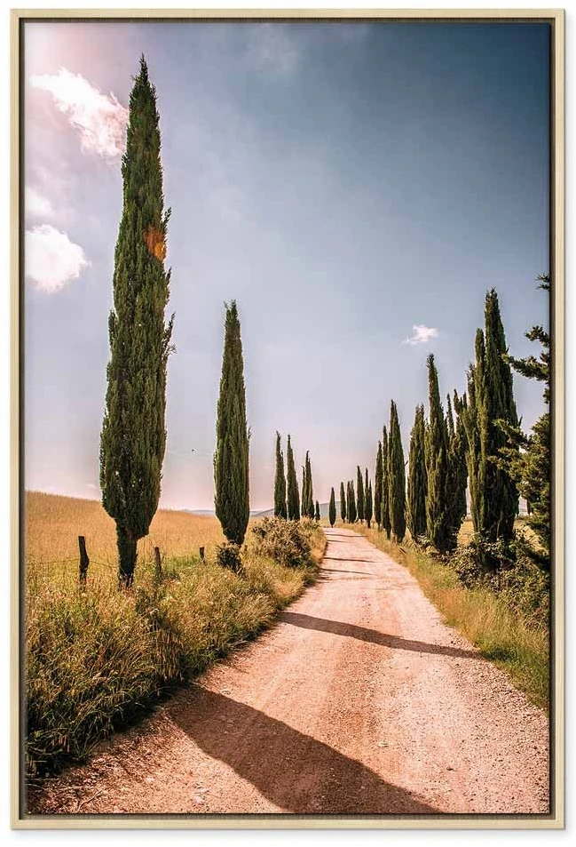Paveikslas Italijos kiparisai