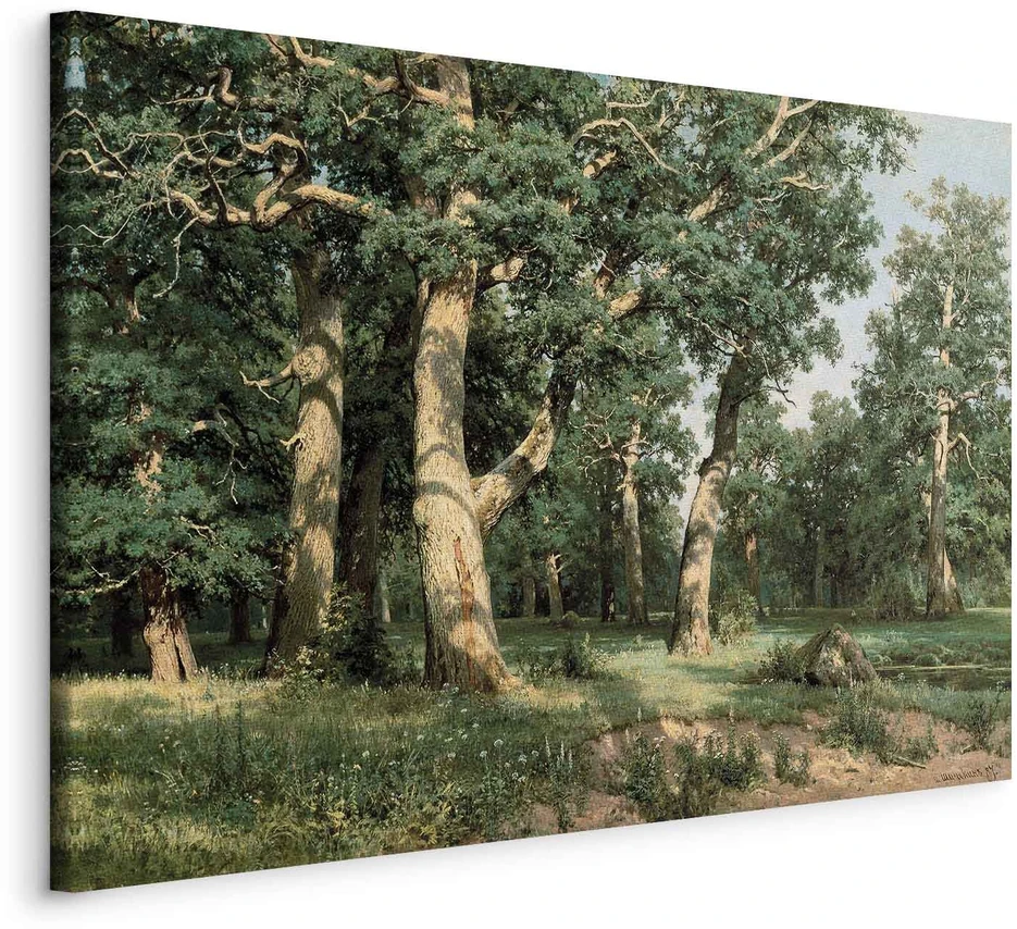 Paveikslas Ivan Shishkin - Ąžuolų miškas