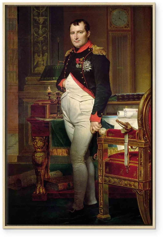 Paveikslas Jacques Louis David - Napoleonas Bonapartas