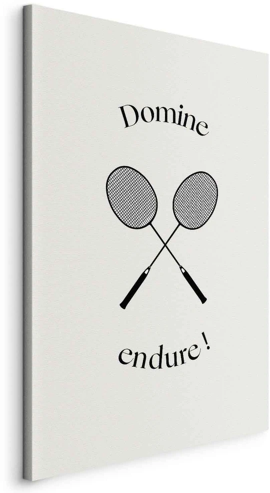 Paveikslas Juodos badmintono raketės