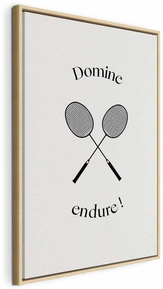 Paveikslas Juodos badmintono raketės