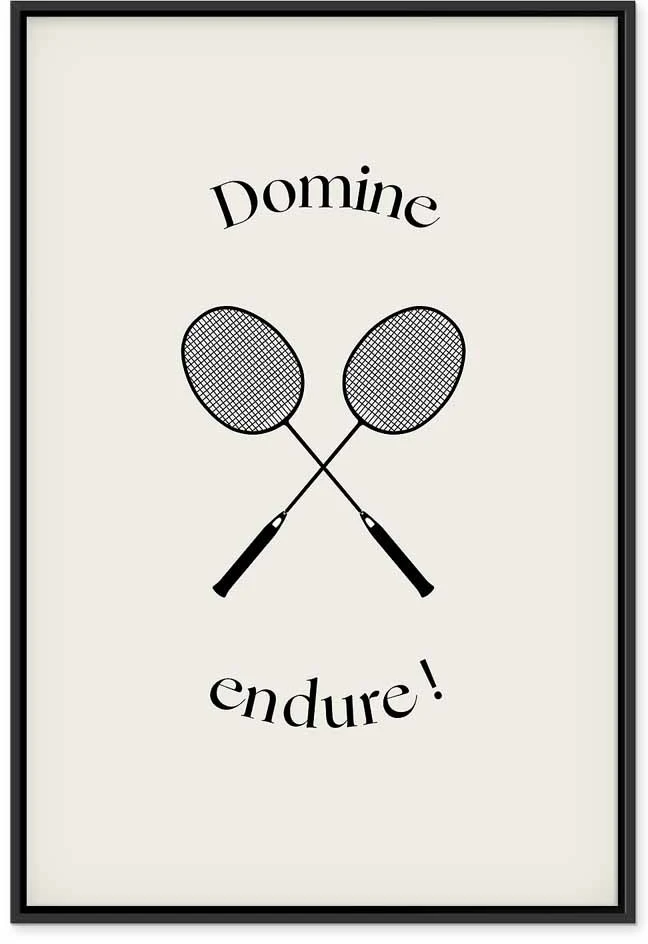 Paveikslas Juodos badmintono raketės