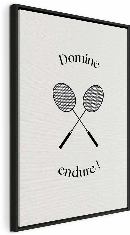 Paveikslas Juodos badmintono raketės