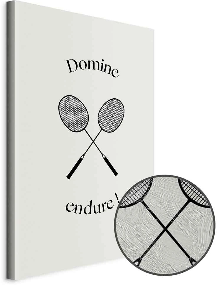 Paveikslas Juodos badmintono raketės