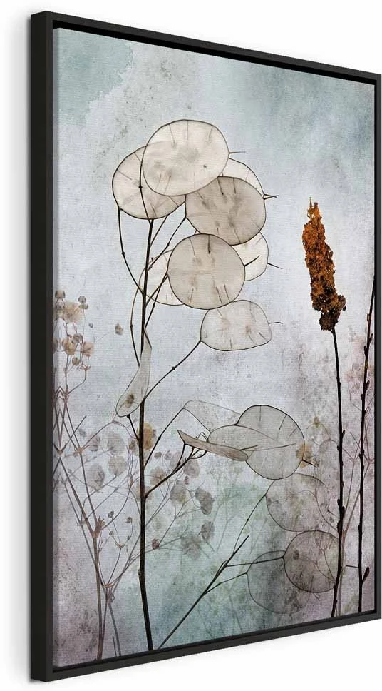 Paveikslas Lunaria vaisiai
