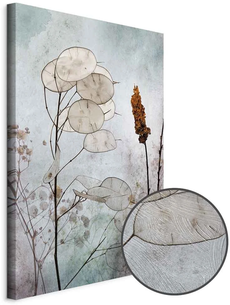 Paveikslas Lunaria vaisiai