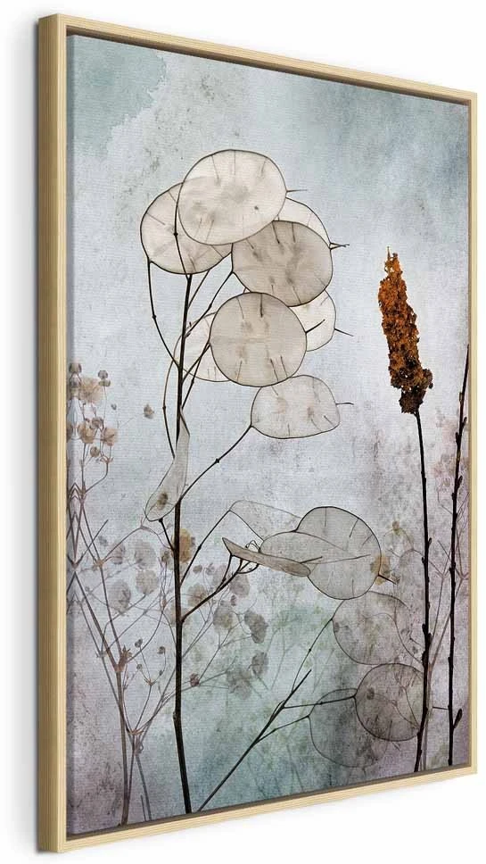 Paveikslas Lunaria vaisiai