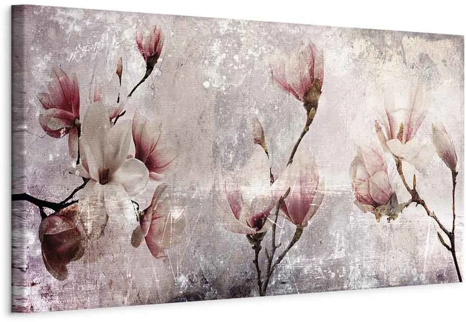 Paveikslas Magnolijos žavesys