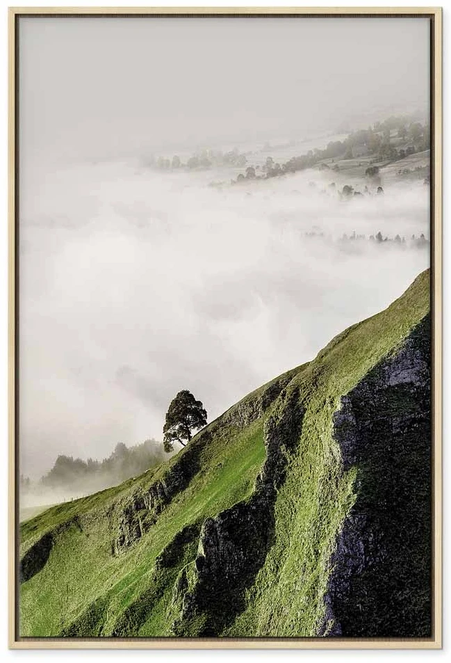 Paveikslas Medis virš debesų