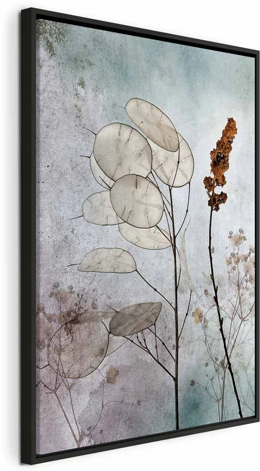Paveikslas Miglota lunaria