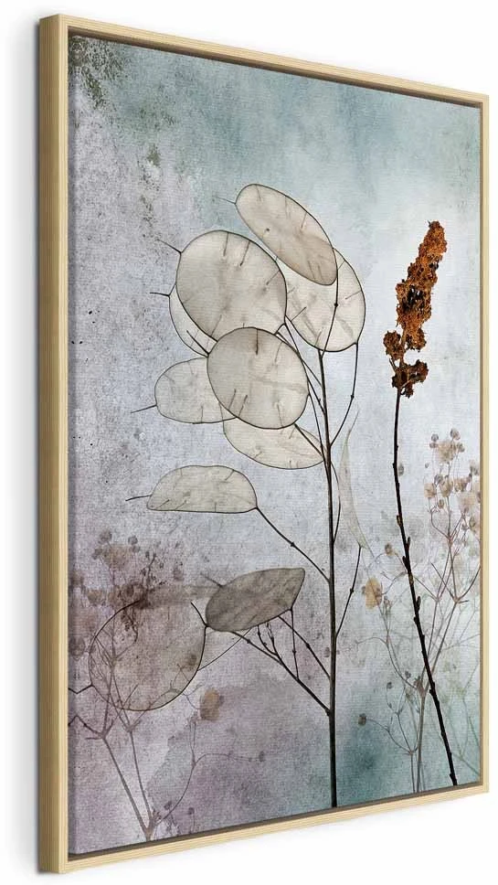 Paveikslas Miglota lunaria