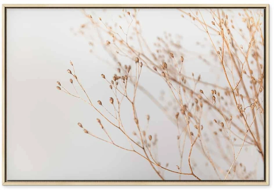 Paveikslas Minimalistinė šakelė