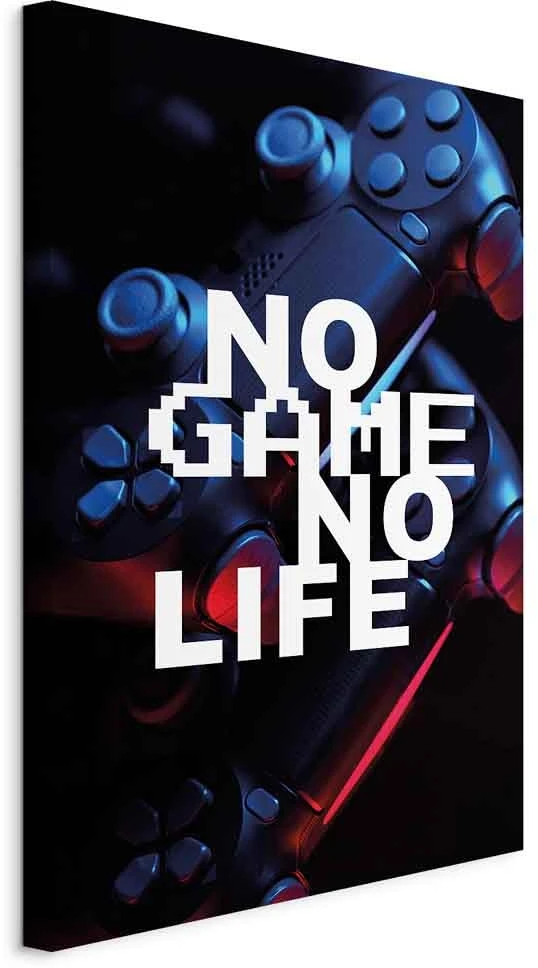 Paveikslas No Game No Life