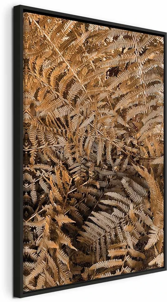 Paveikslas Paslaptingas papartis