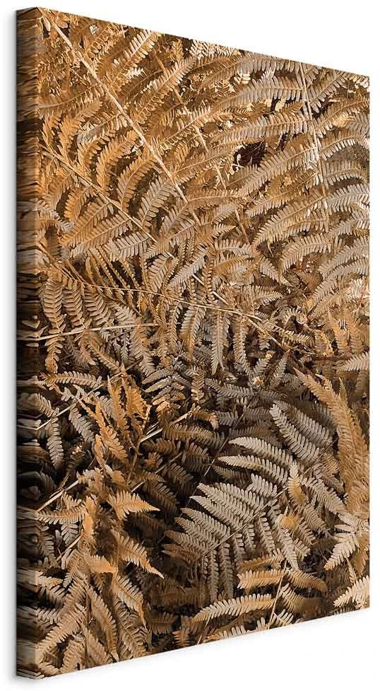 Paveikslas Paslaptingas papartis