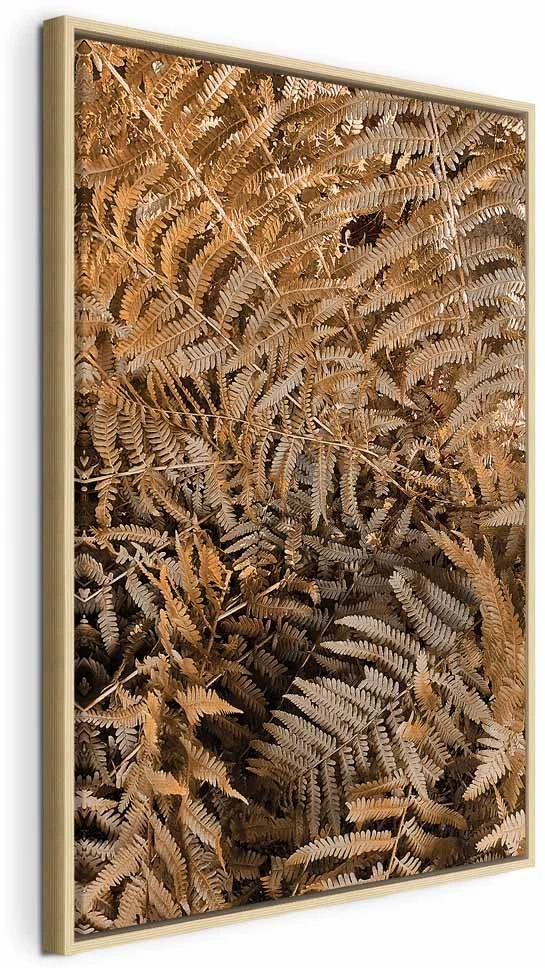 Paveikslas Paslaptingas papartis