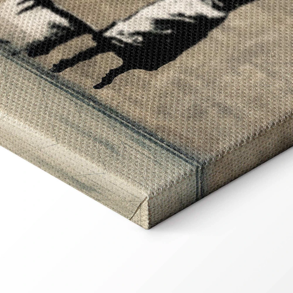 Paveikslas Plaunama zebra ant betono (Banksy)