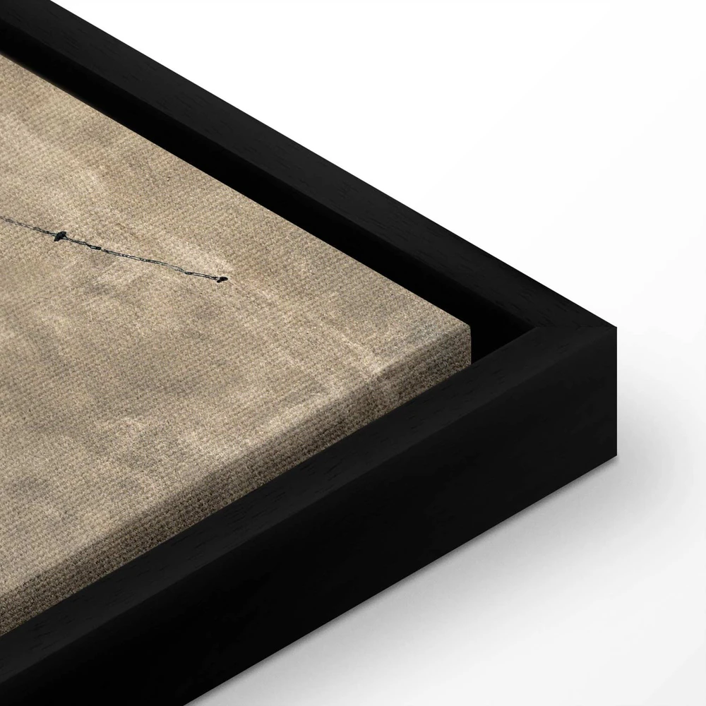 Paveikslas Plaunama zebra ant betono (Banksy)