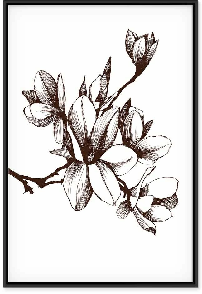 Paveikslas Renesanso magnolijos