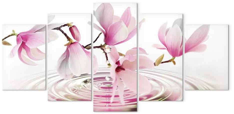 Paveikslas Rožinės magnolijos virš vandens
