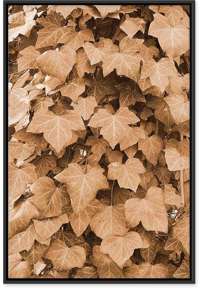 Paveikslas Rudens gebenė