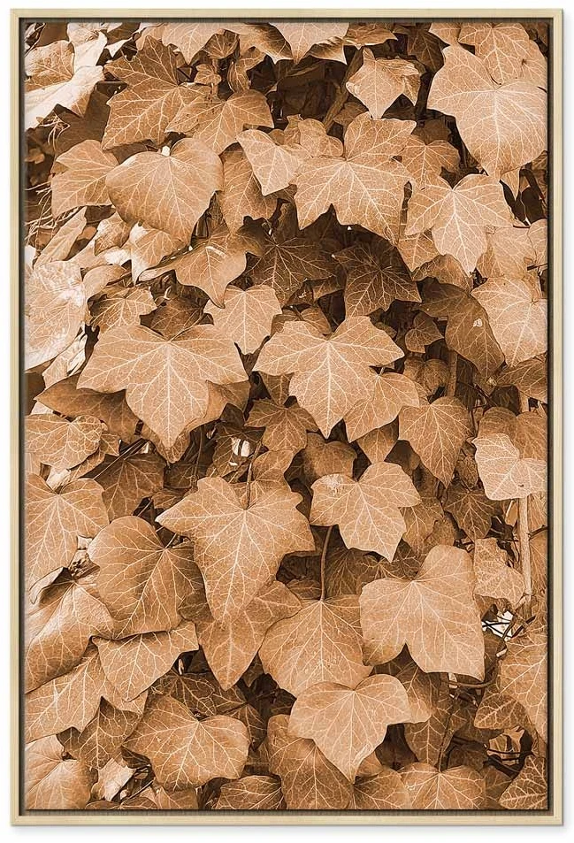 Paveikslas Rudens gebenė