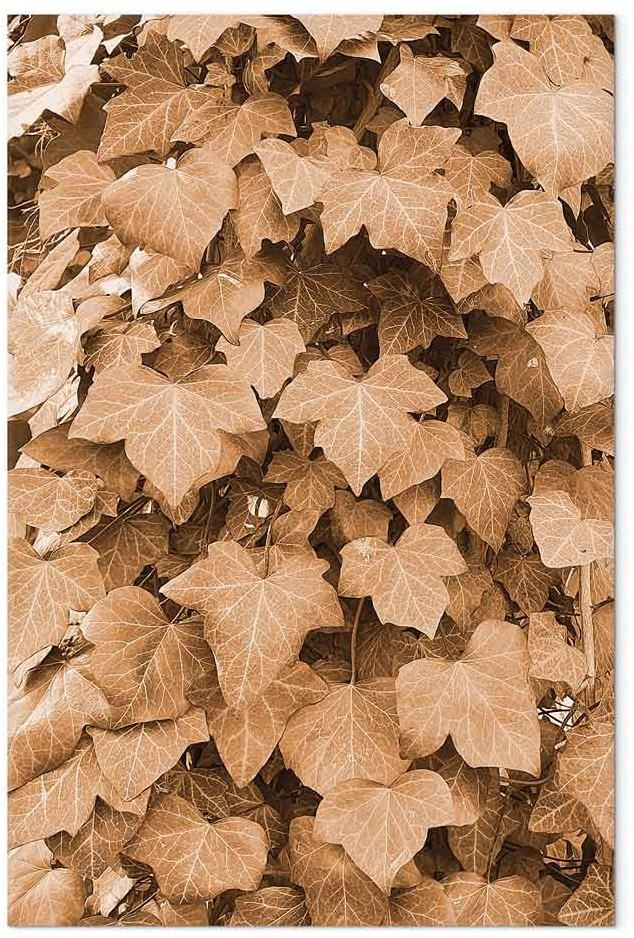 Paveikslas Rudens gebenė