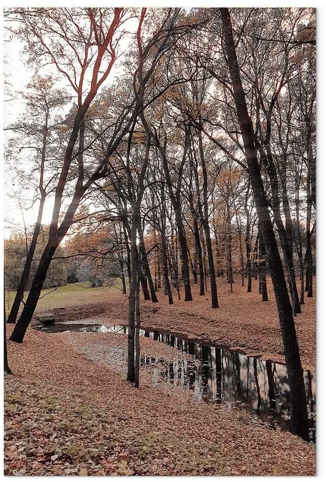 Paveikslas Rudens pasivaikščiojimas