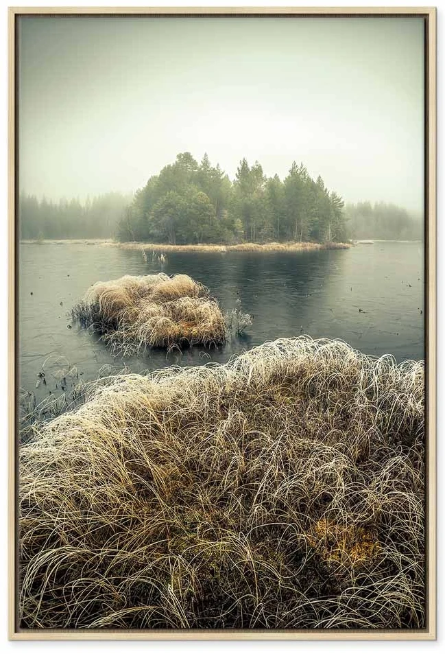 Paveikslas Rudens pelkės