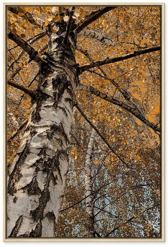 Paveikslas Rudens spalvos