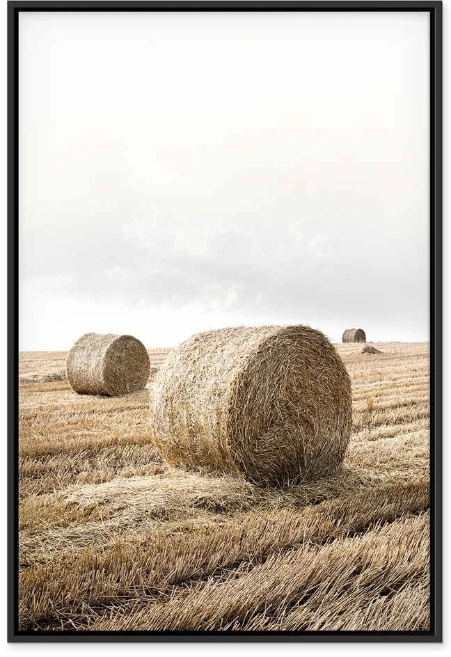 Paveikslas Šieno laukas