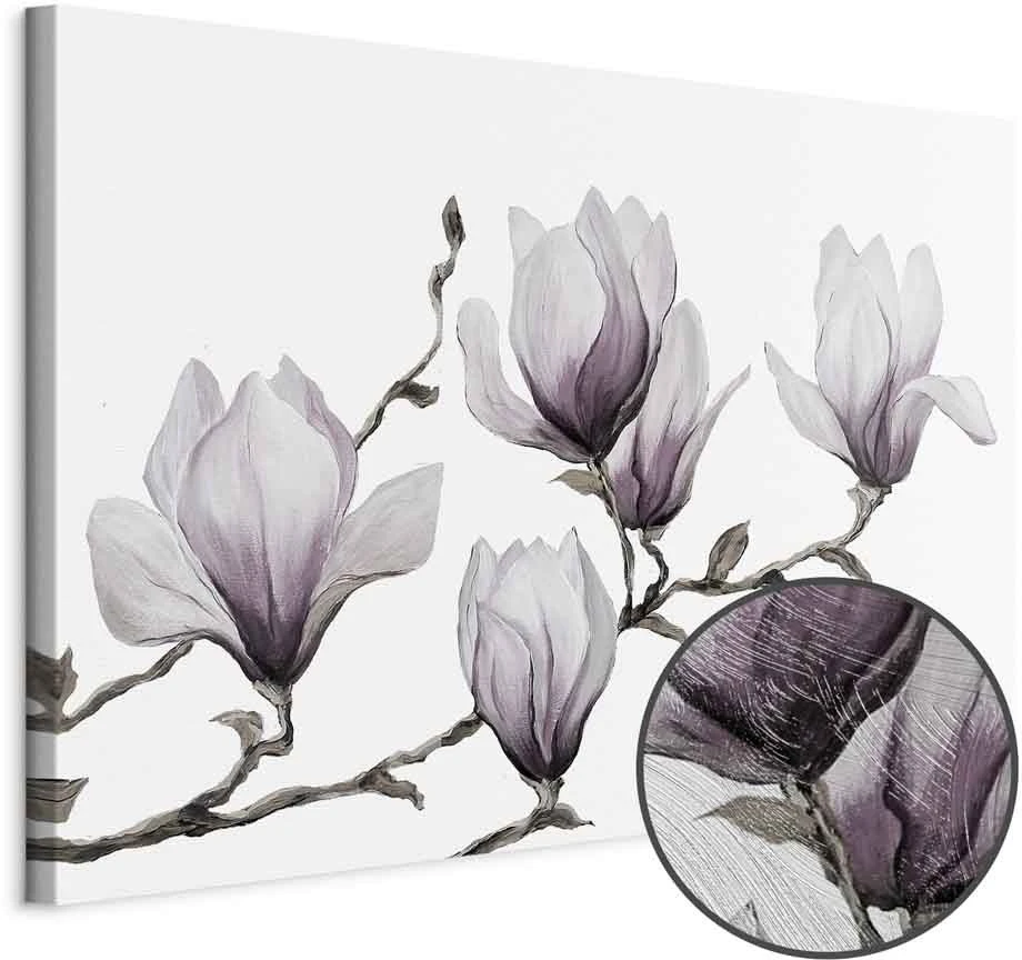 Paveikslas Tapytos magnolijos