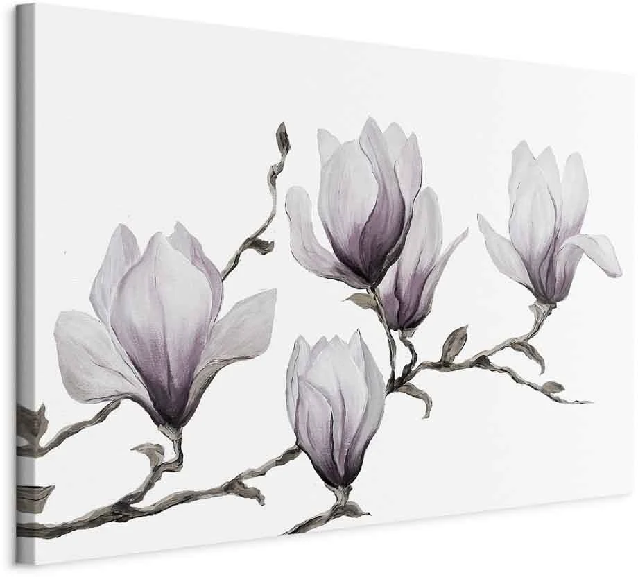 Paveikslas Tapytos magnolijos