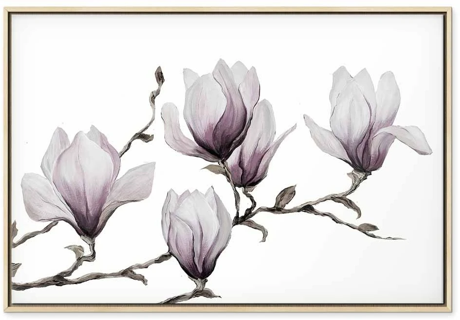 Paveikslas Tapytos magnolijos